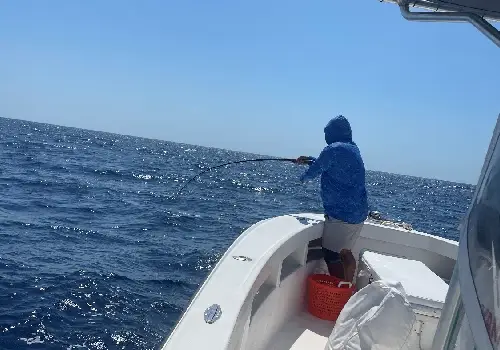 Excited man pulling in a shark while Shark Fishing in St. Petersburg FL