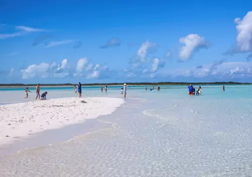 A beach visited during Sandbar Trips from the Reel Charters in St. Petersburg FL