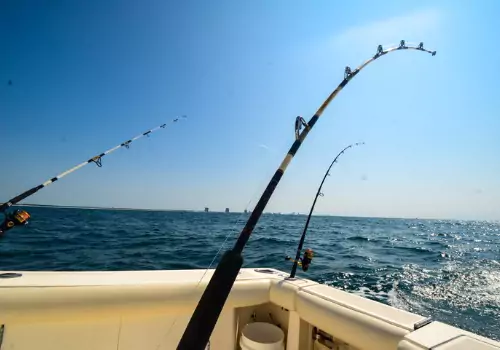 Fishing Trips Tampa Bay FL